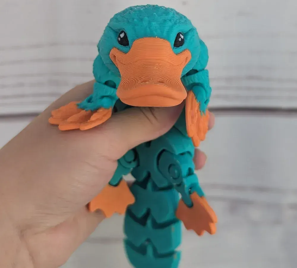 Modèles flexibles et articulés